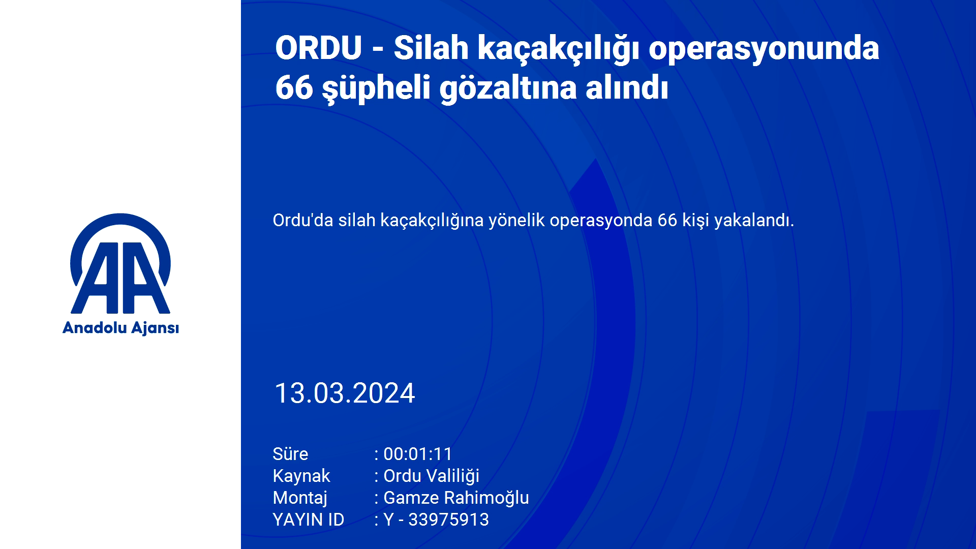 ORDU - Silah kaçakçılığı operasyonunda 66 şüpheli gözaltına alındı